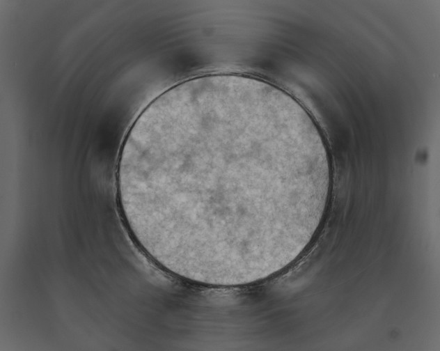 X0000090910810200708271003