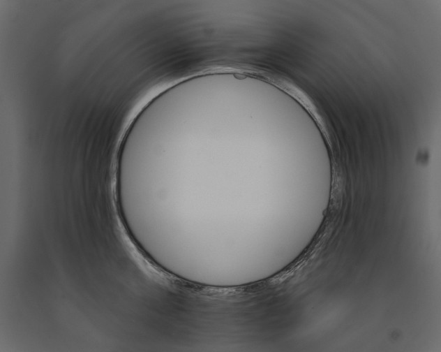 X0000090910811200708271003