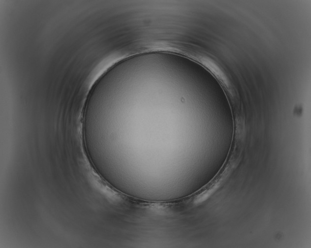 X0000090910814200708271003