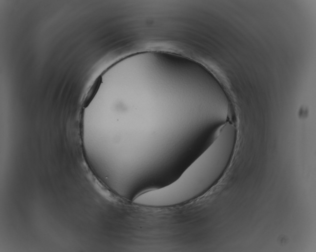 X0000090910816200708271003