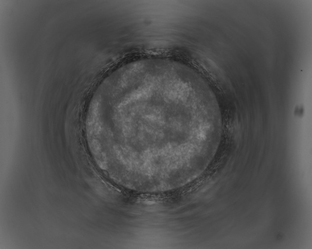 X0000090910817200708271003