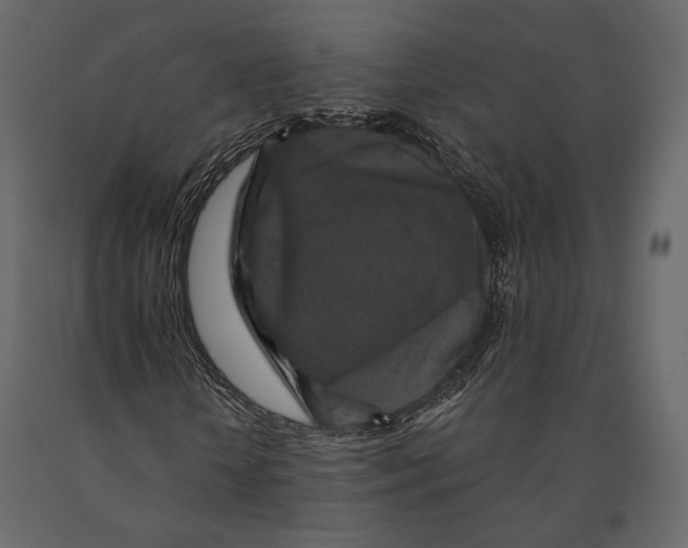 X0000090910818200708271003