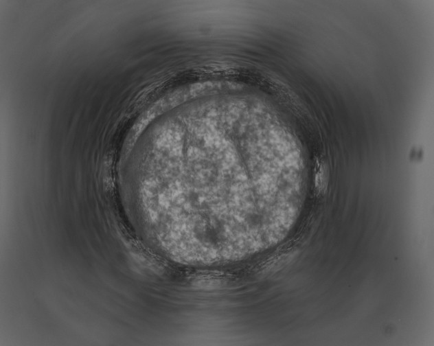 X0000090910819200708271003