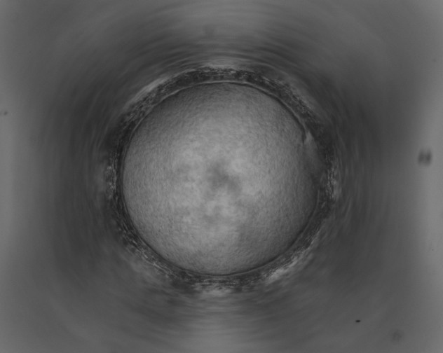 X0000090910821200708271003