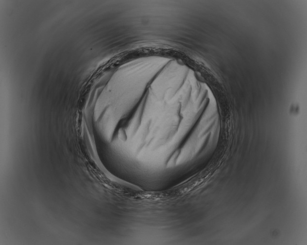 X0000090910822200708271003