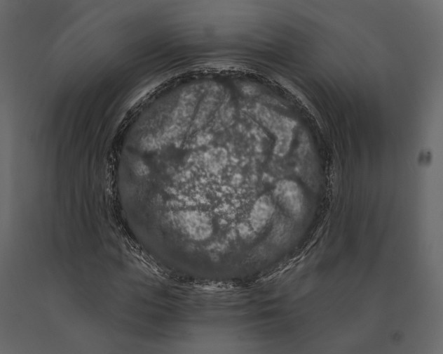 X0000090910823200708271003