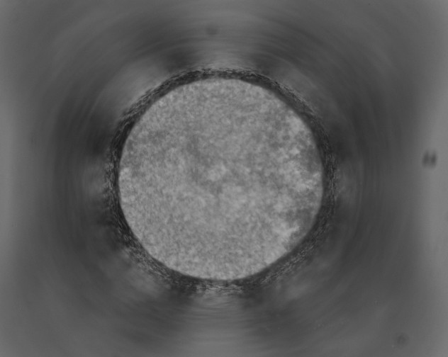 X0000090910824200708271003