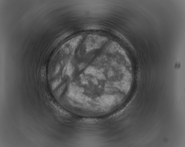 X0000090910825200708271003