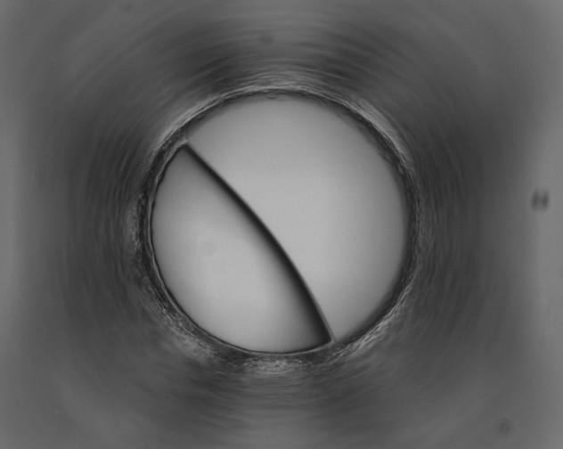 X0000090910826200708271003