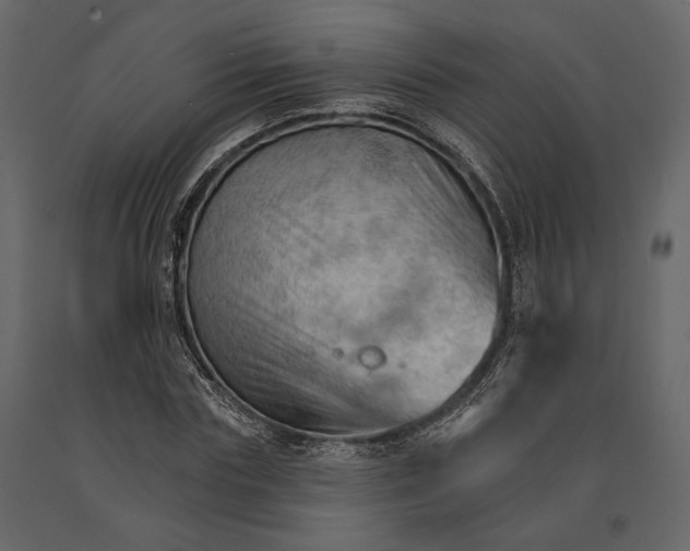 X0000090910827200708271003