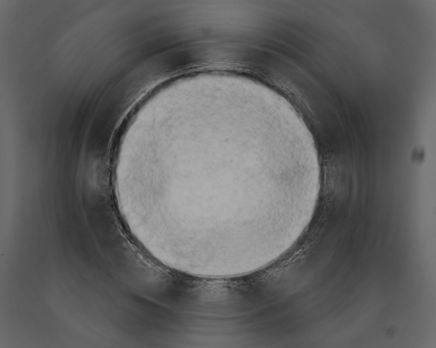 X0000090910828200708271003