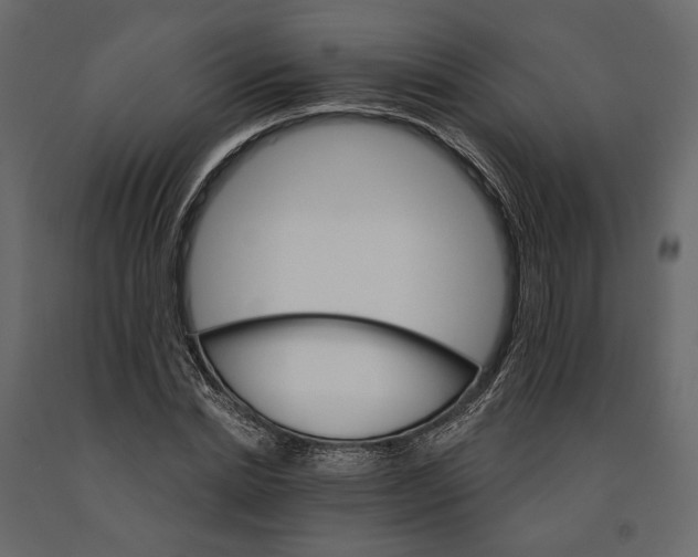 X0000090910830200708271003