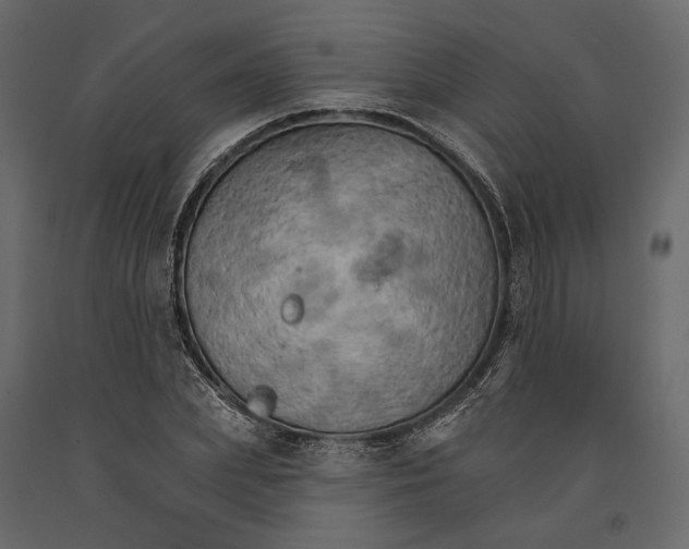 X0000090910831200708271003