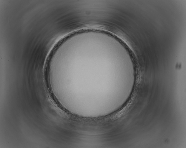 X0000090910832200708271003