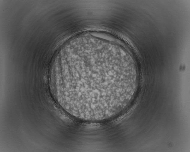 X0000090910833200708271003