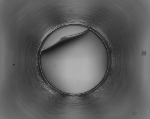 X0000090910834200708271003