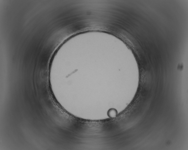 X0000090910836200708271003