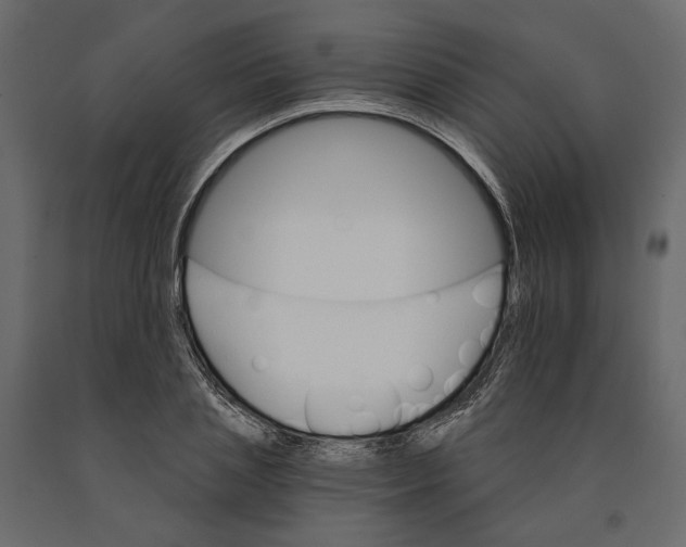 X0000090910837200708271003