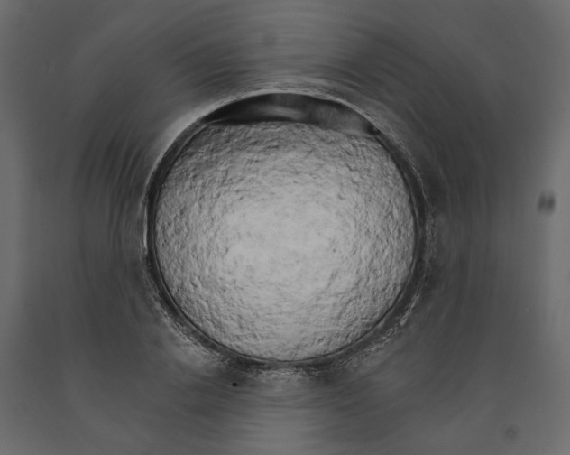 X0000090910838200708271003