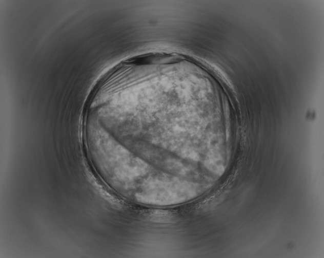 X0000090910839200708271003