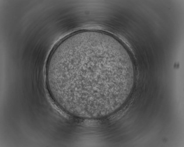 X0000090910840200708271003