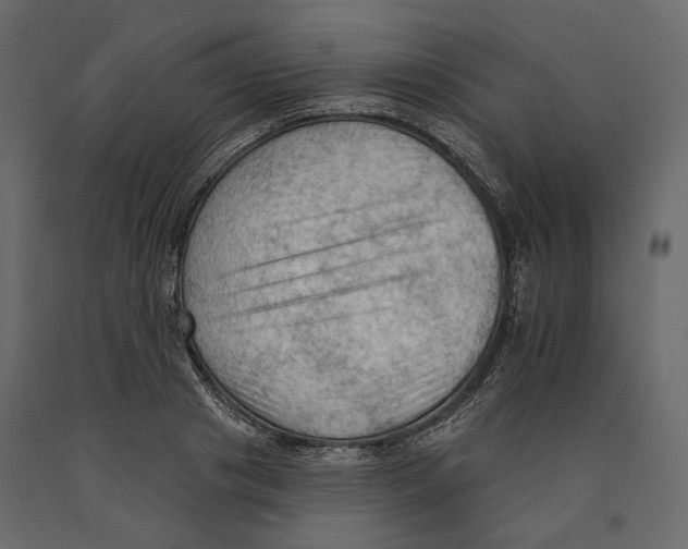 X0000090910841200708271003