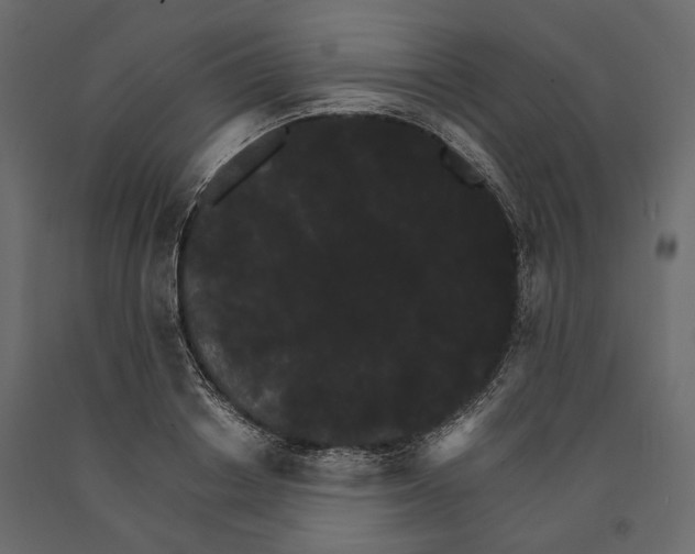 X0000090910842200708271003