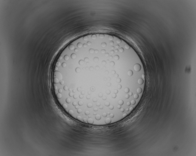 X0000090910843200708271003