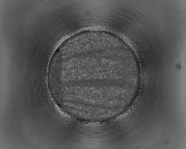 X0000090910845200708271003