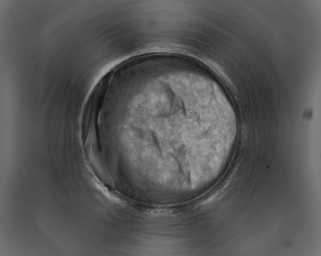 X0000090910846200708271003