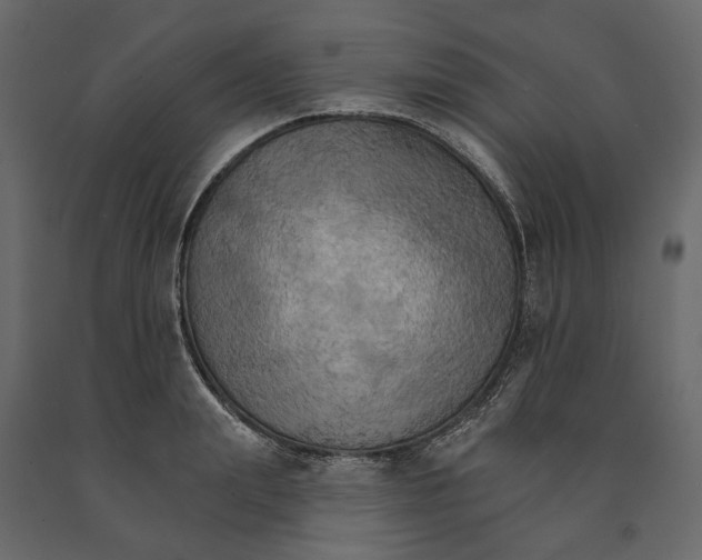 X0000090910847200708271003