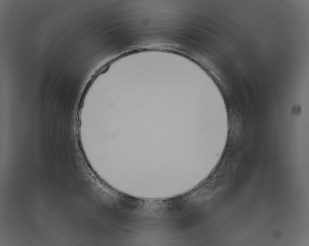 X0000090910848200708271003