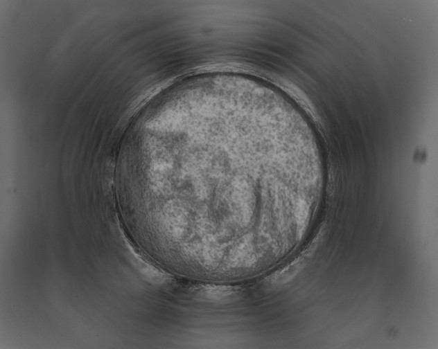 X0000090910849200708271003