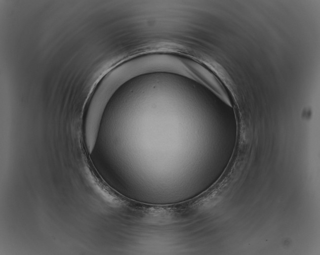 X0000090910850200708271003