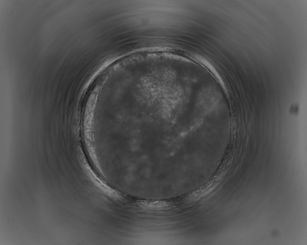 X0000090910851200708271003