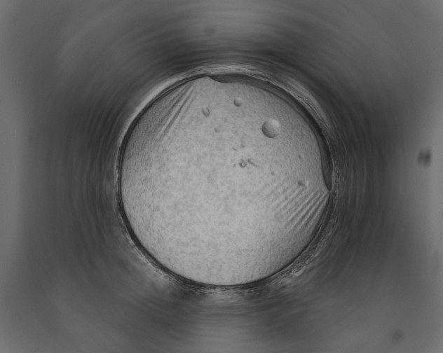 X0000090910852200708271003