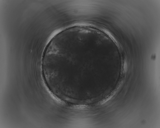 X0000090910853200708271003