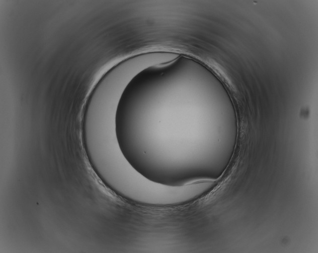 X0000090910854200708271003