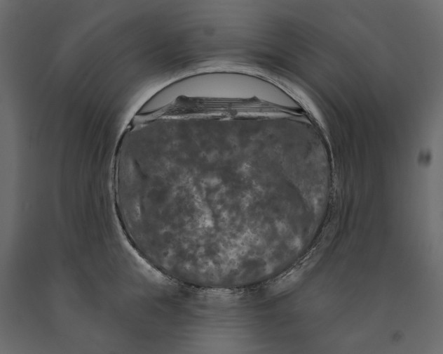 X0000090910855200708271003