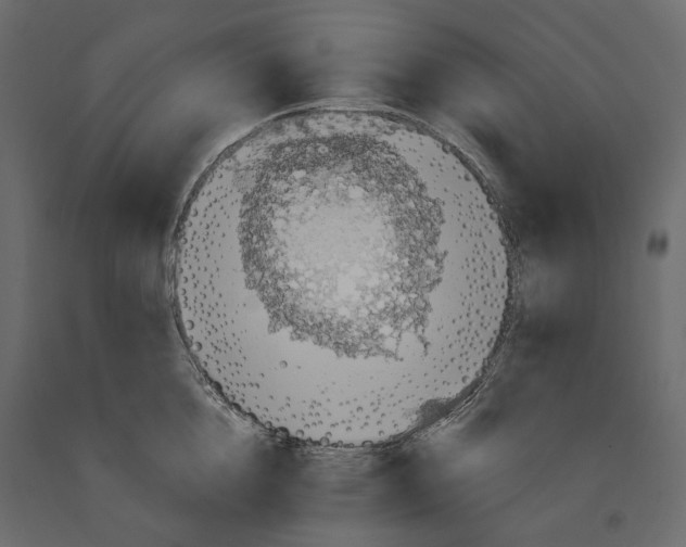 X0000090910856200708271003