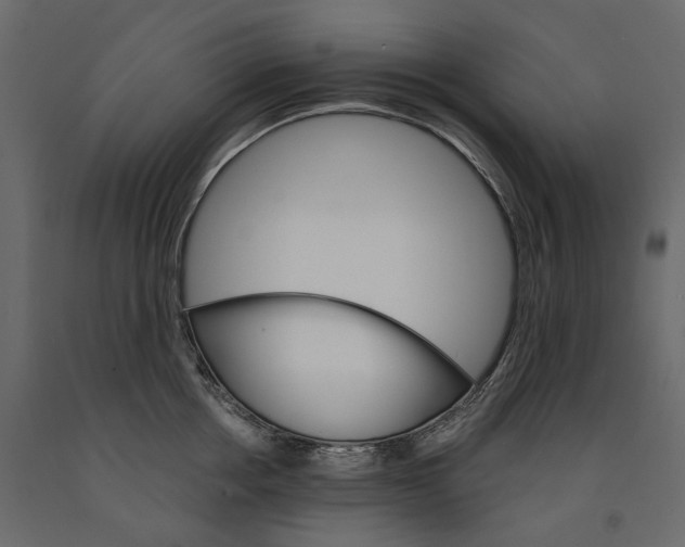 X0000090910858200708271003