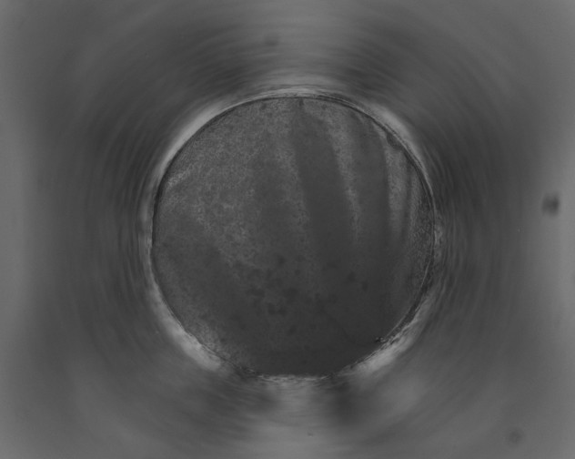 X0000090910859200708271003