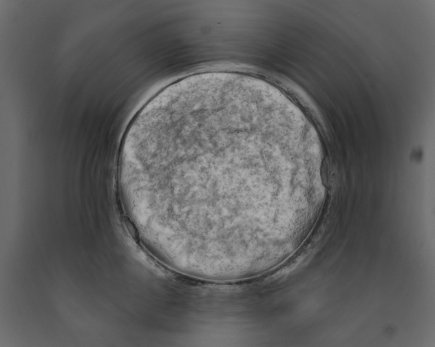 X0000090910860200708271003