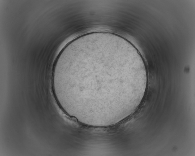 X0000090910861200708271003