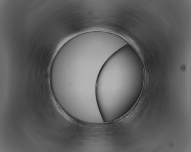 X0000090910862200708271003