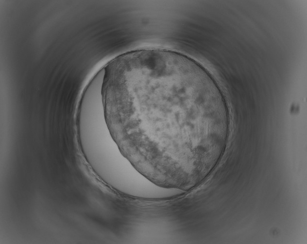 X0000090910864200708271003