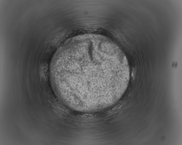 X0000090910867200708271003