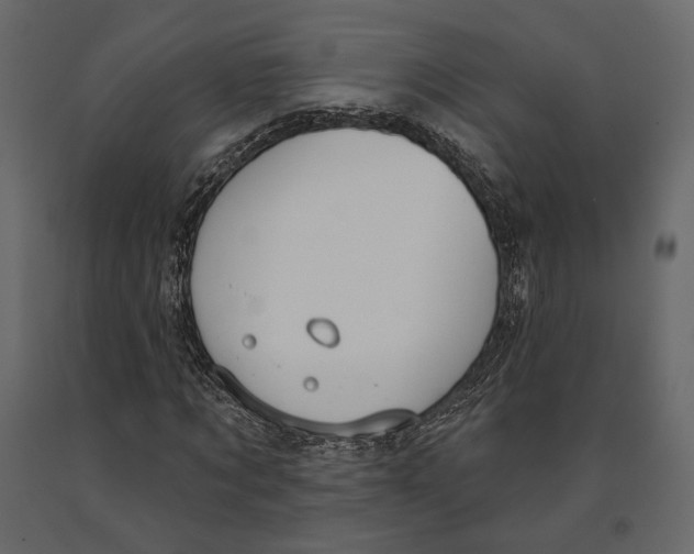 X0000090910869200708271003