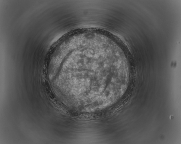 X0000090910871200708271003