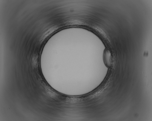 X0000090910873200708271003